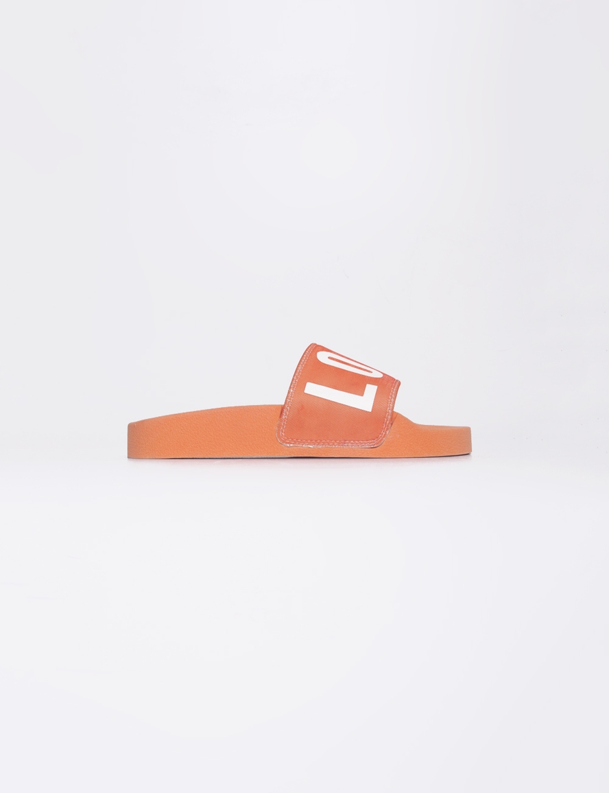 SLIDE BLOOM
